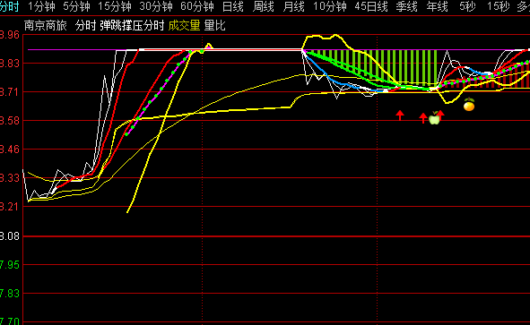 ͨ�_(d��)�ŏ����Ή��֕r���Dָ��(bi��o)��ʽ