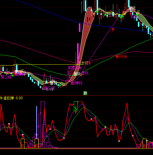 ͨ�_�ŏ�����BS�I�uָ�˹�ʽ